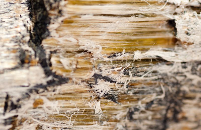 Asbestos Mitigation in Monmouth County, NJ