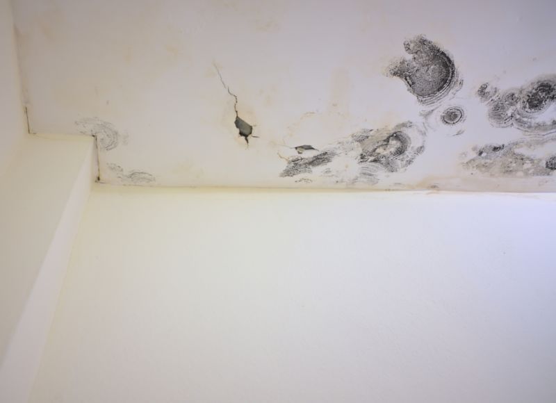 Attic Mold Remediation in Jupiter, FL