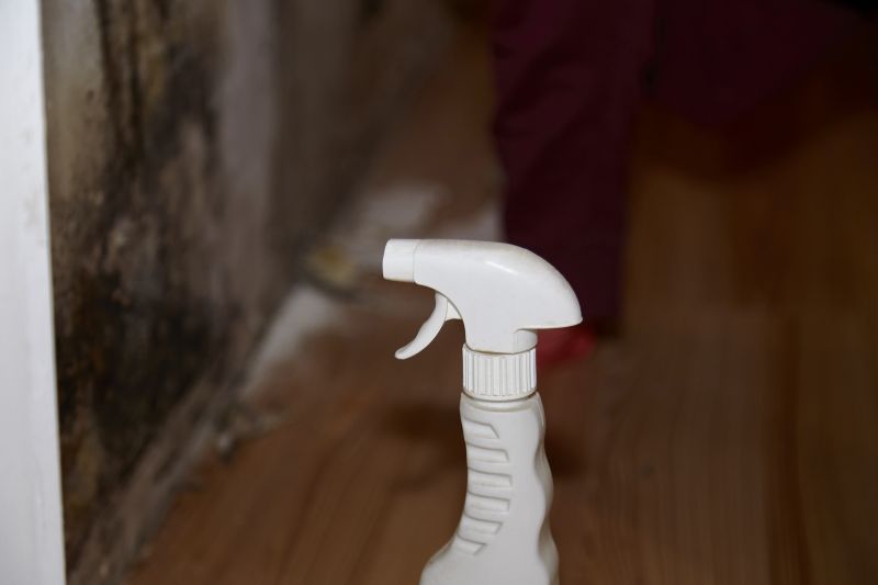 Attic Mold Removal in Essex County, NJ
