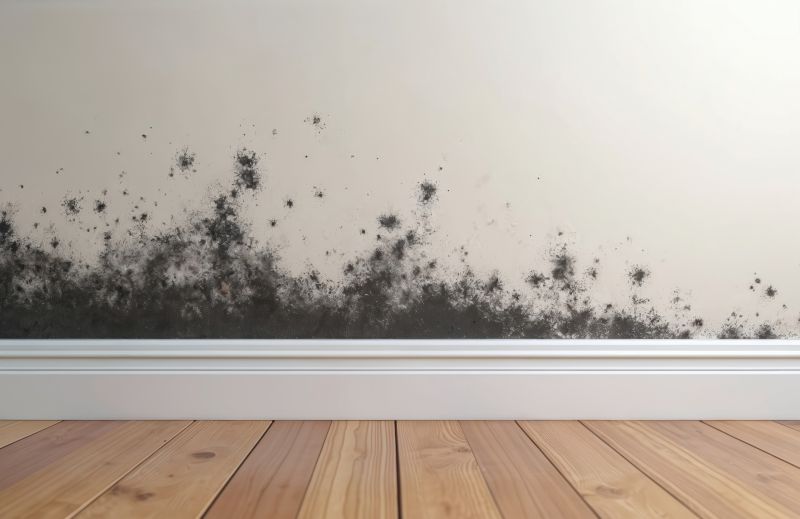 Basement Mold Remediation in Dallas, TX