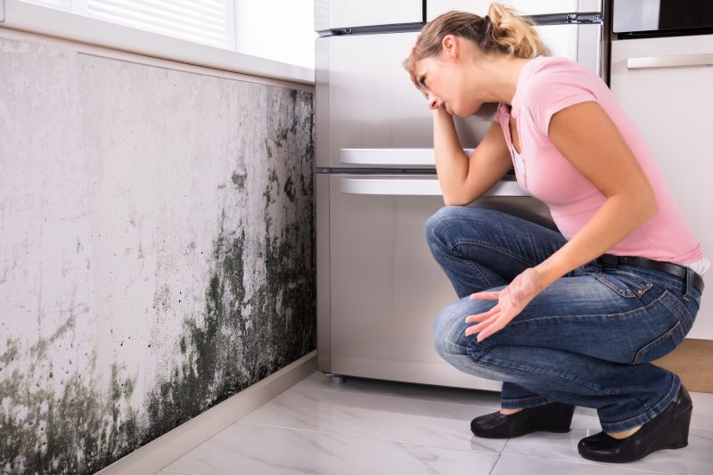 Black Mold Removal in West Palm Beach, FL