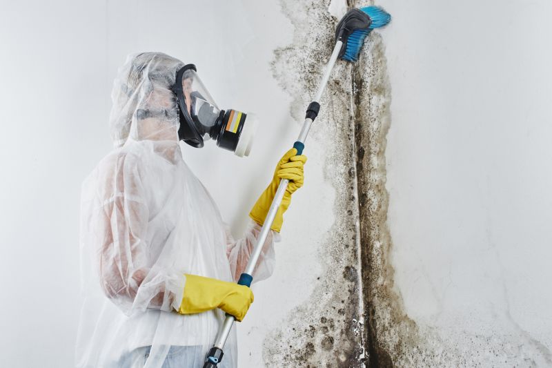 Ceiling Mold Removal in Frisco, TX