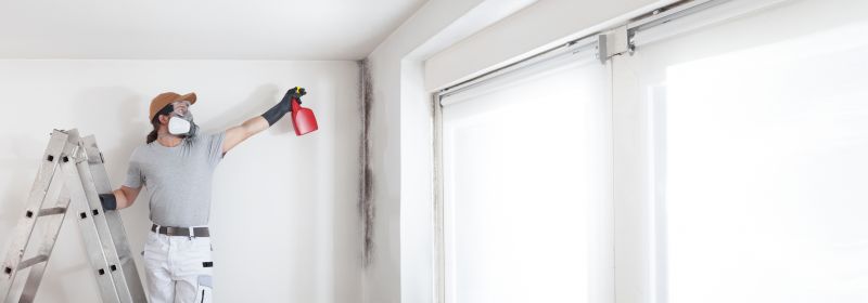 Crawl Space Mold Removal in Boca Raton, FL