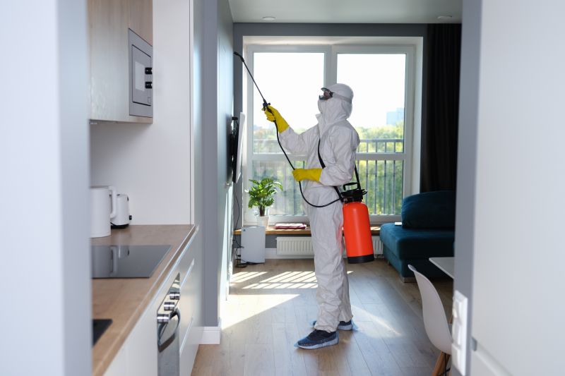 Crawl Space Mold Removal in Frisco, TX