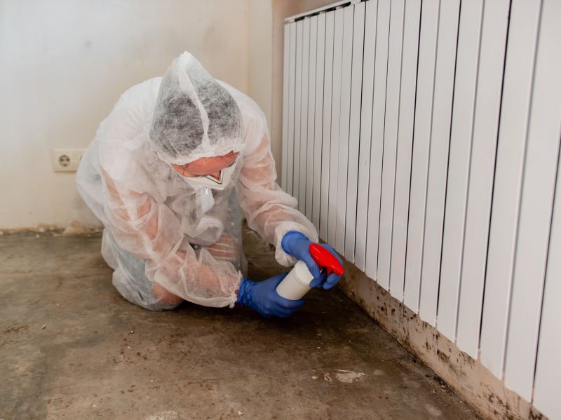 Crawl Space Mold Removal in West Palm Beach, FL