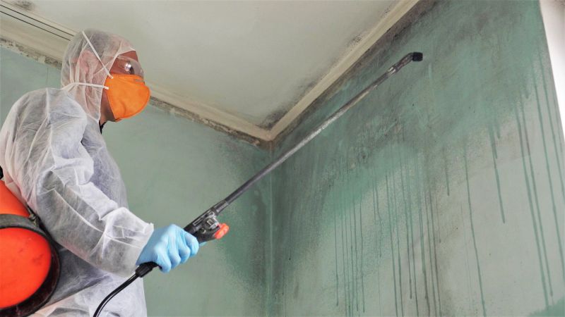 Crawl Space Mold Removal in Bergen County, NJ
