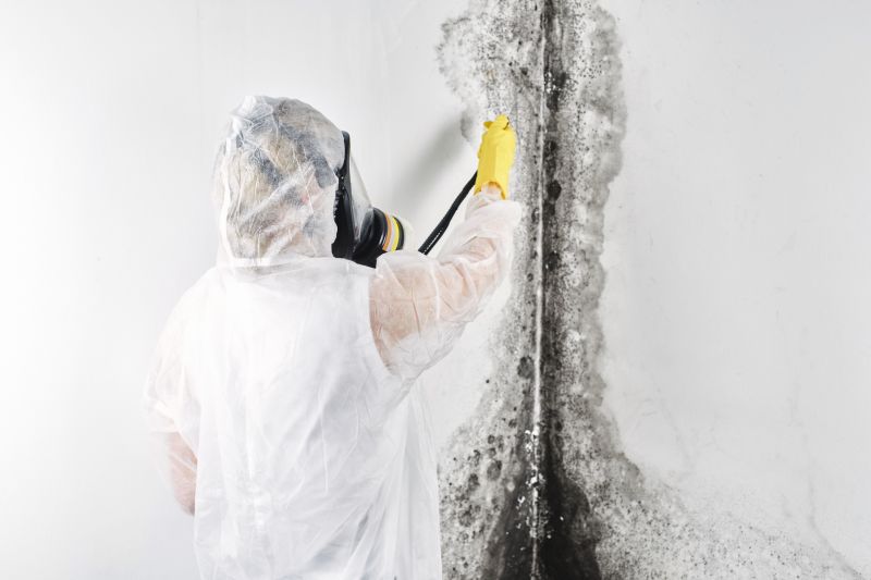 Crawlspace Mold Remediation in Fort Worth, TX