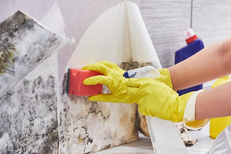 Garage Mold Remediation in Fort Lauderdale, FL