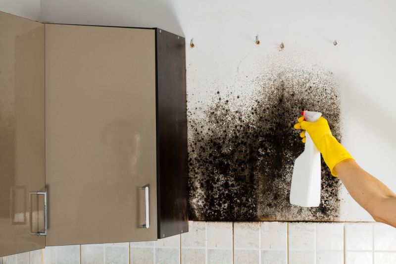 Mold Cleanup Service in Bergen County, NJ