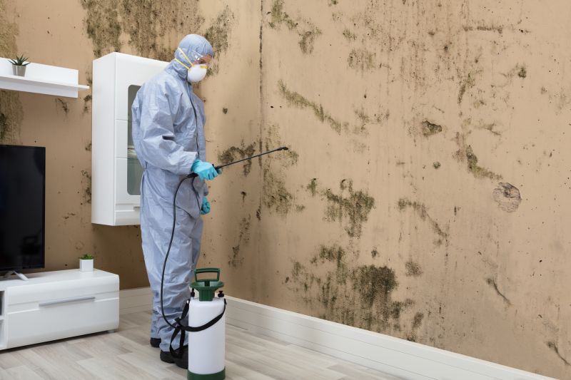 Mold Control in Denton, TX