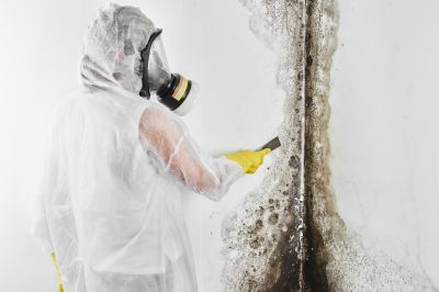 Mold Mitigation