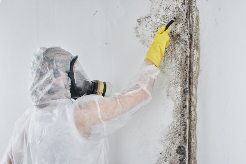 Mold Mitigation