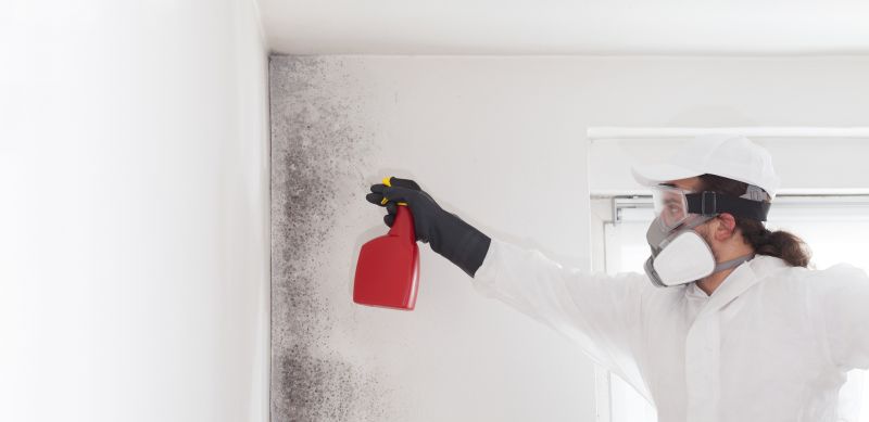 Mold Mitigation