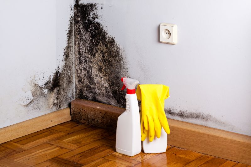 Mold Mitigation