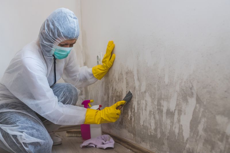 Mold Mitigation Service in Broward County, FL