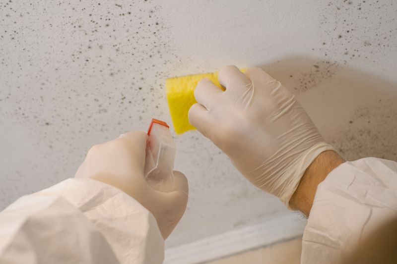 Mold Remediation Service in Jupiter, FL