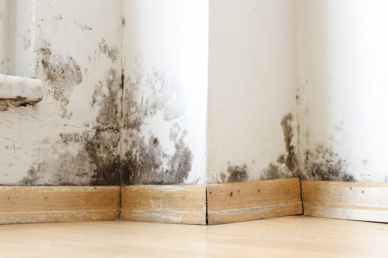 Mold Restoration in Fort Lauderdale, FL
