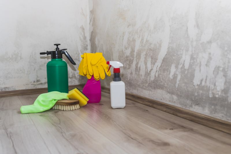 Mold Restoration in Jupiter, FL