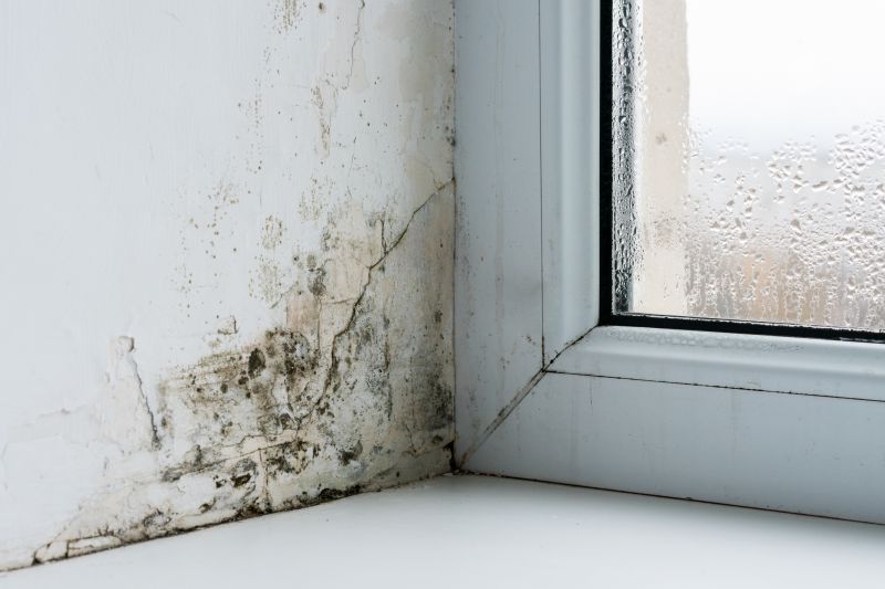 Get Expert Mold Mitigation To Preserve Property Integrity!