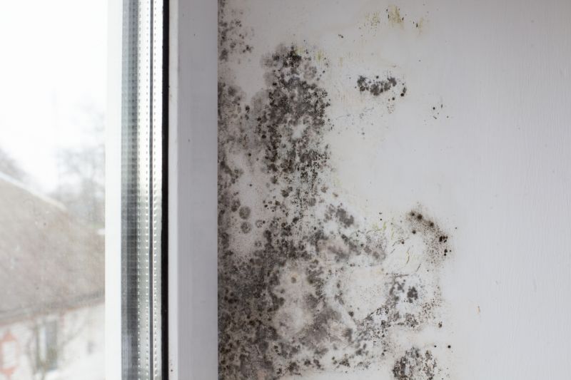 Improve Indoor Air Quality With Professional Mold Mitigation!