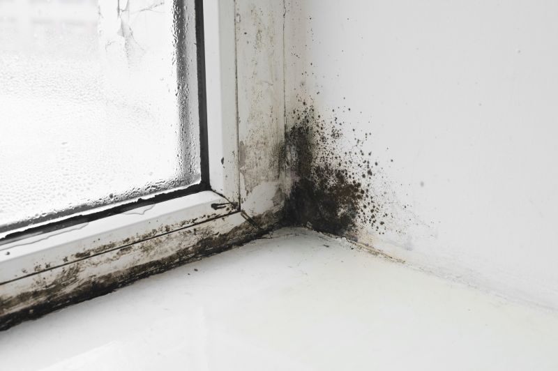 Mitigate Mold Risks and Prevent Health Risks!