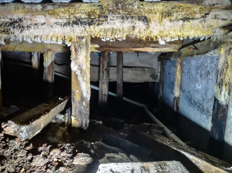 Basement Mold Remediation in West Palm Beach, FL
