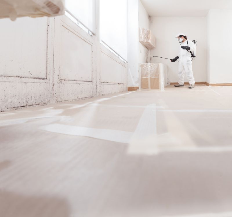 Basement Mold Remediation in Dallas, TX