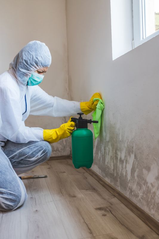 Crawlspace Mold Remediation in West Palm Beach, FL