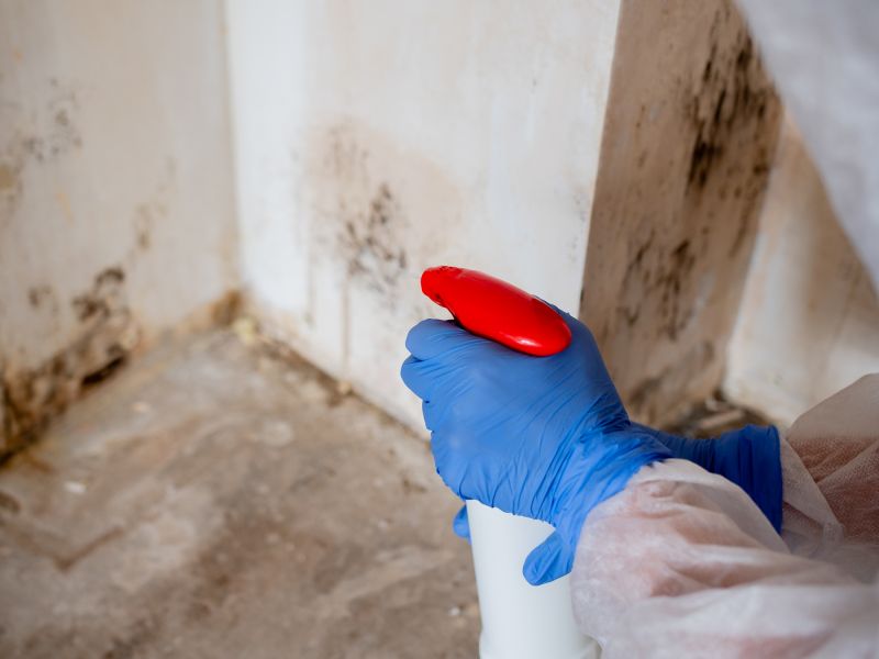 Mold Abatement Service in Fort Worth, TX