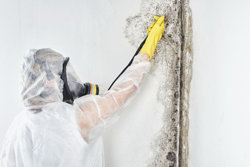 Mold Control in Broward County, FL