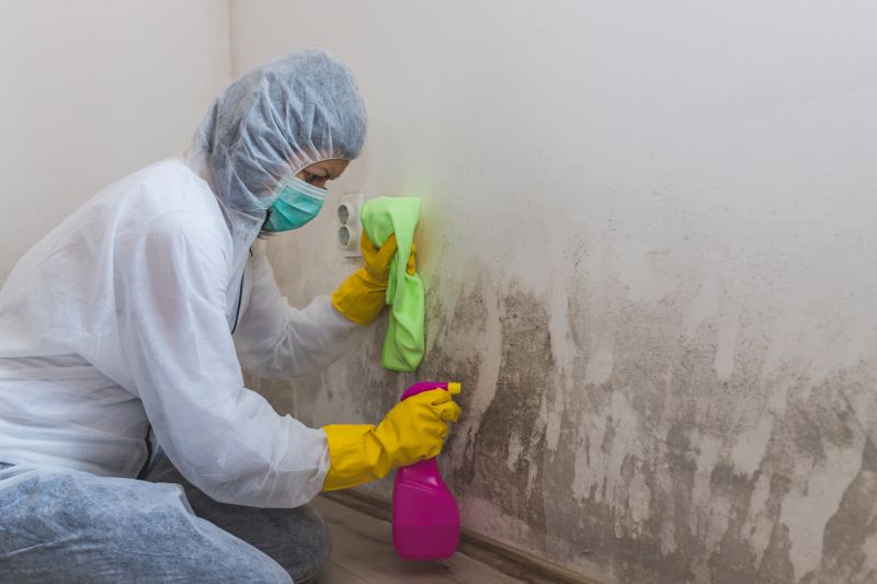 Mold Removal in Broward County, FL